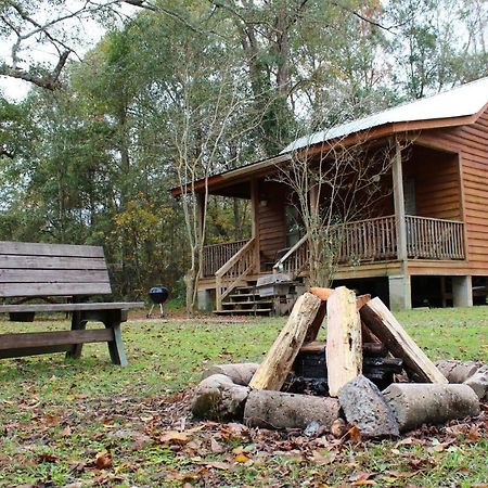 Isabel Berry Creek Cabins B&B 외부 사진