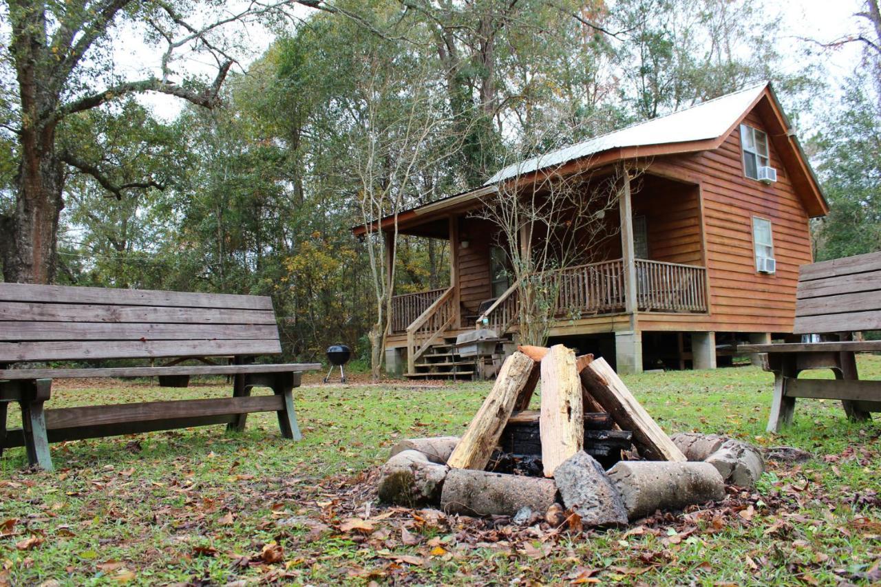 Isabel Berry Creek Cabins B&B 외부 사진