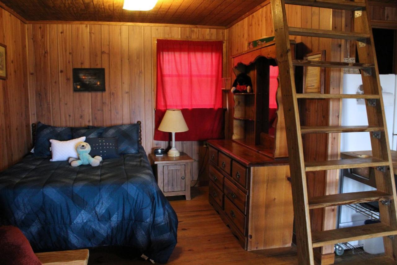 Isabel Berry Creek Cabins B&B 외부 사진