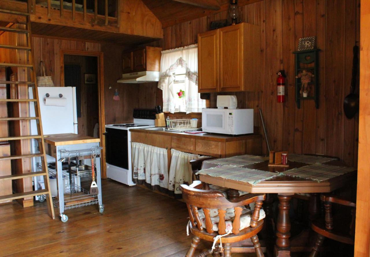 Isabel Berry Creek Cabins B&B 외부 사진
