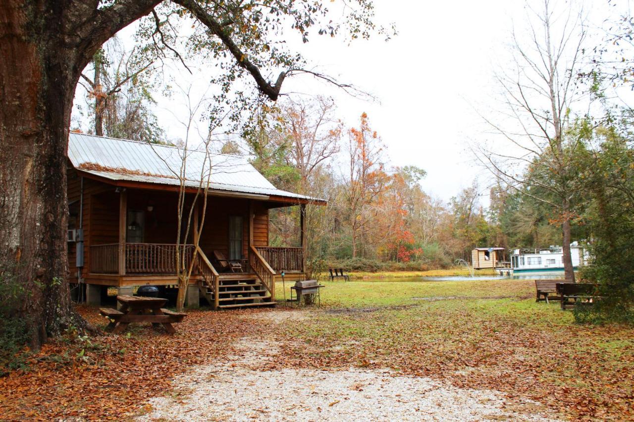 Isabel Berry Creek Cabins B&B 외부 사진