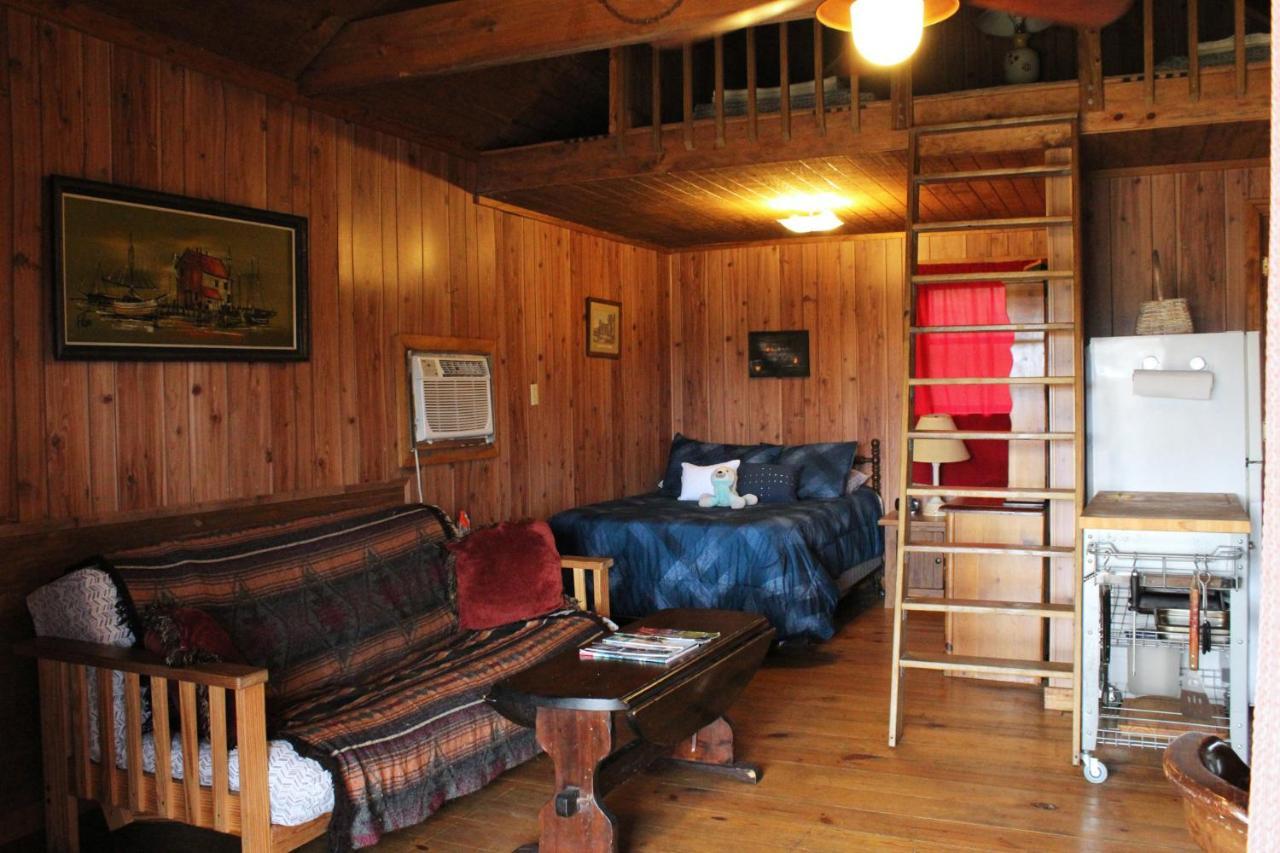 Isabel Berry Creek Cabins B&B 외부 사진