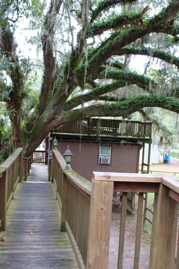 Isabel Berry Creek Cabins B&B 외부 사진