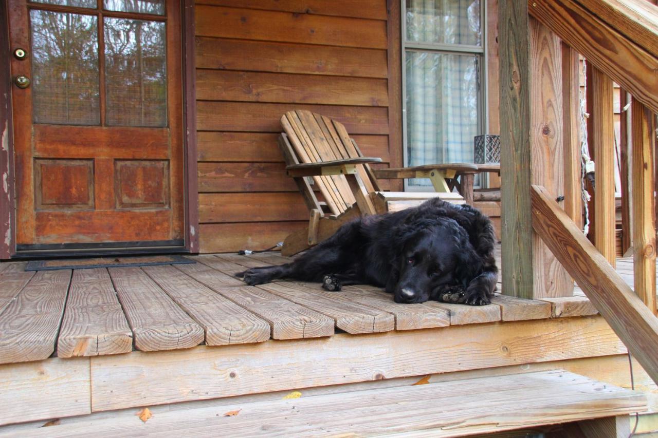 Isabel Berry Creek Cabins B&B 외부 사진